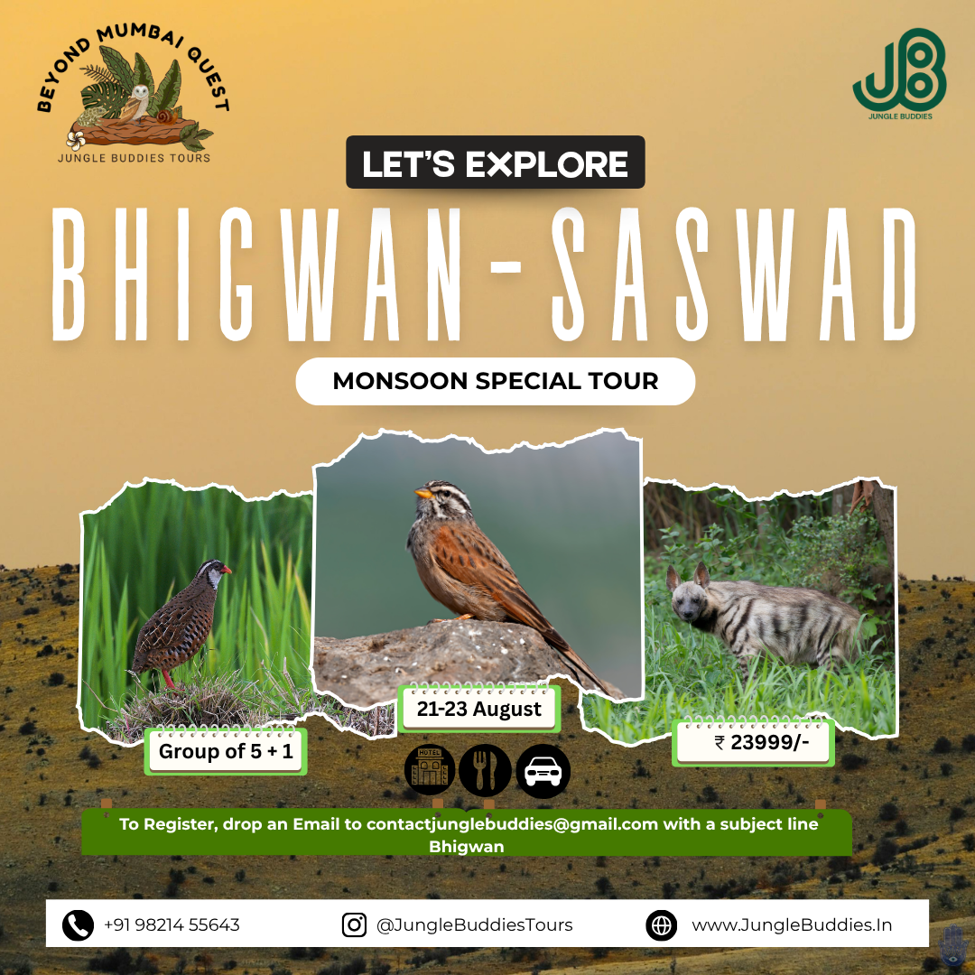 Bhigwan Saswad Pune Bird Watching Tour August 2026