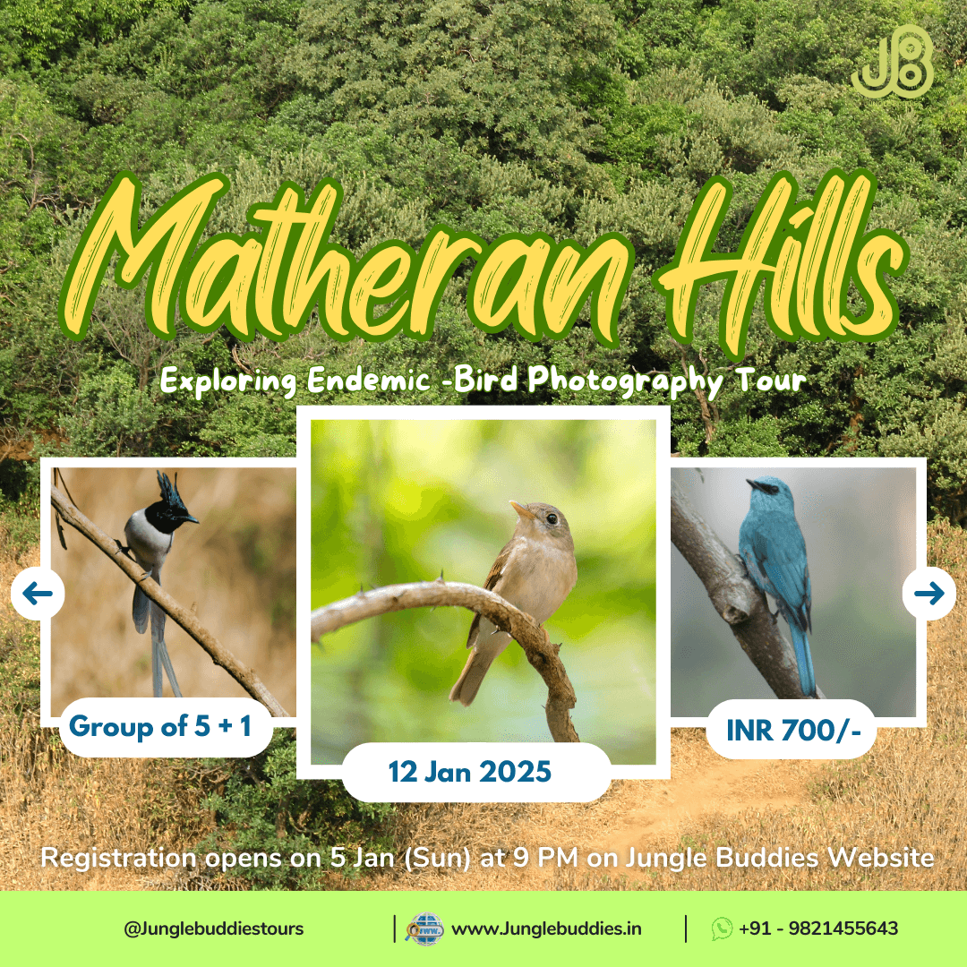 Matheran Hills l Jungle Buddies Group Tour December 2024