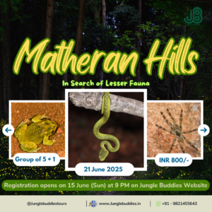 Jungle Buddies Birding Tour for June 2025 - Matheran