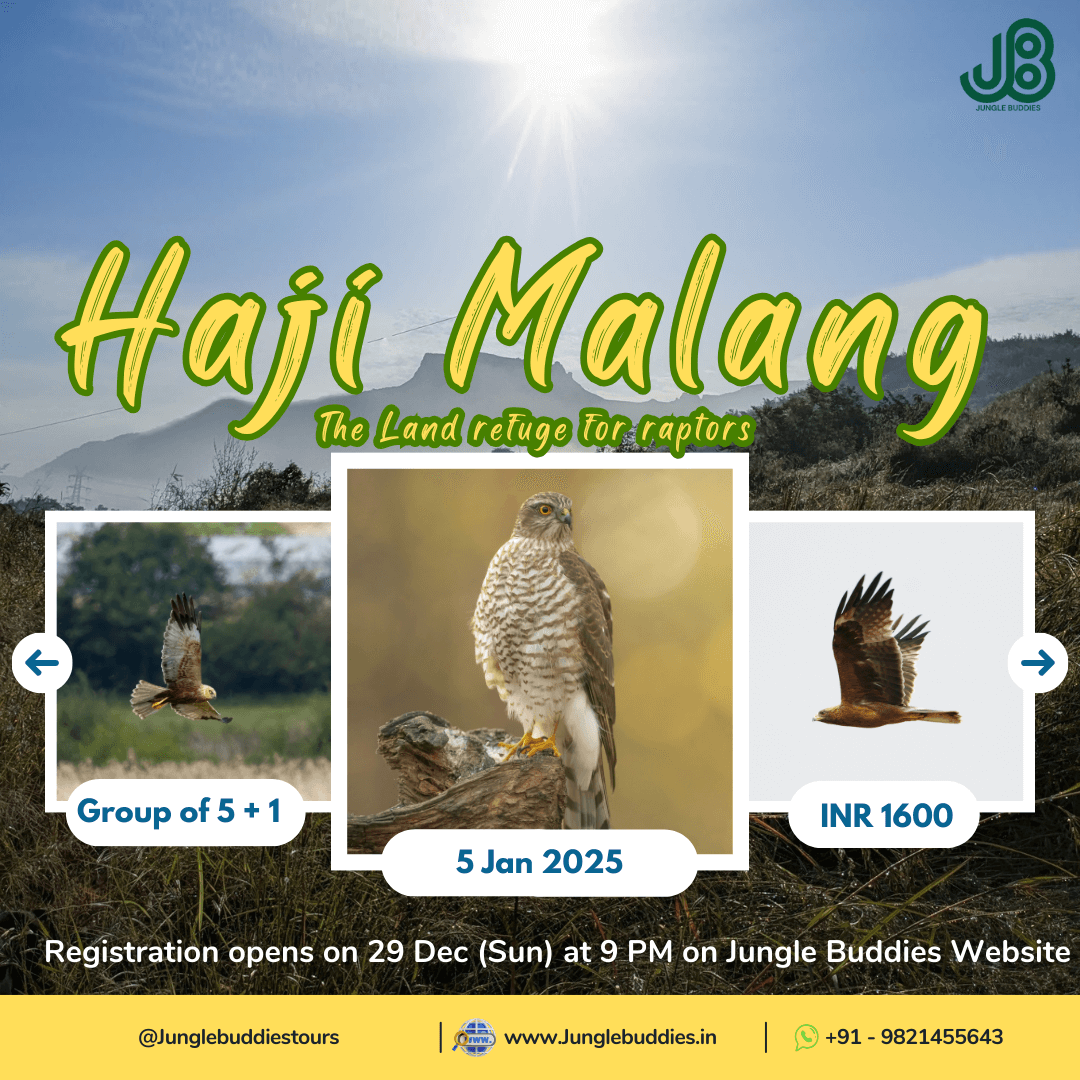 Haji Malang hills by Jungle Buddies