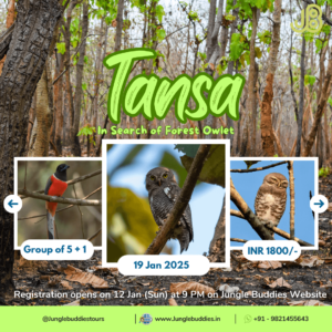 Tansa by Jungle Buddies Tours