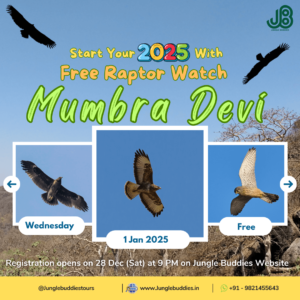 Raptor Watch at Mumbra Devi Hill by Jungle Buddies