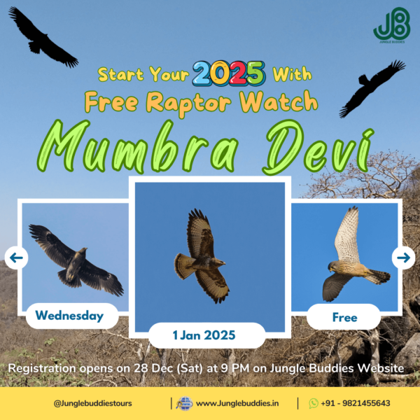 Raptor Watch at Mumbra Devi Hill by Jungle Buddies