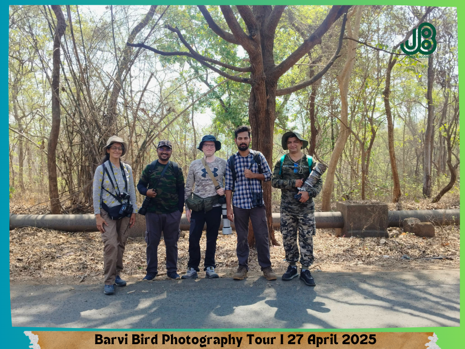 Barvi Forest Birding by Jungle Buddies Tours (1)