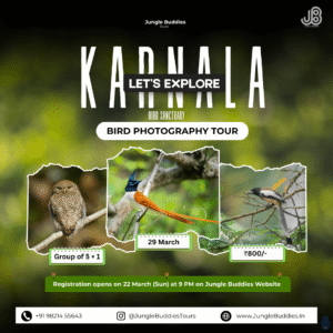 Bird Watching Near Mumbai March 2026 at Karnala