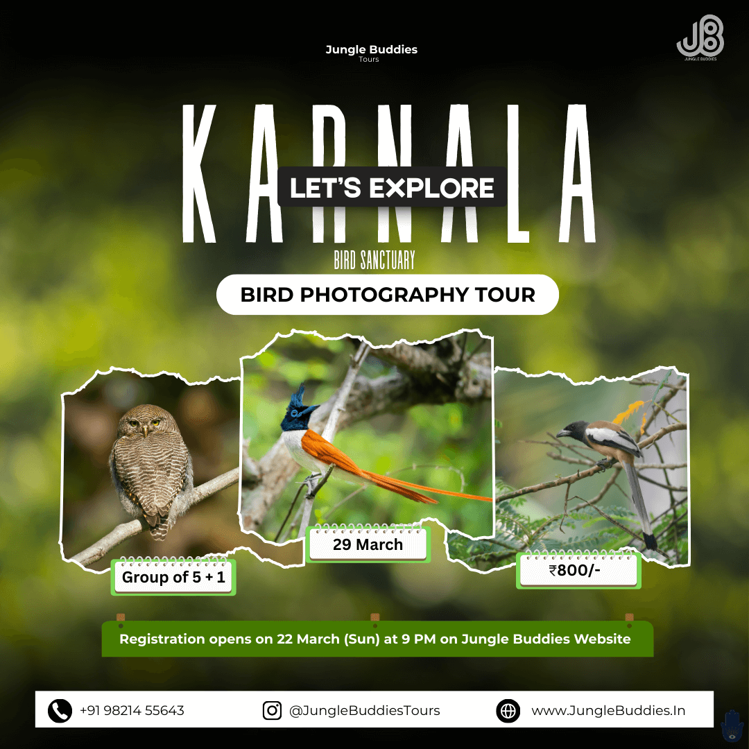 Bird Watching Near Mumbai March 2026 at Karnala