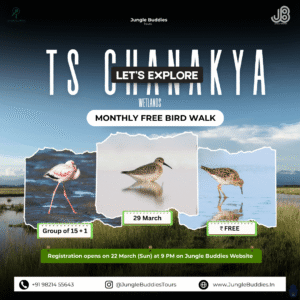 Bird Watching Near Mumbai March 2026 at Navi Mumbai