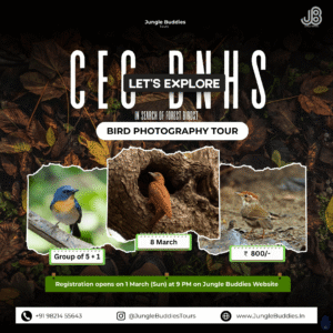 Bird Watching Near Mumbai March 2026 at SGNP