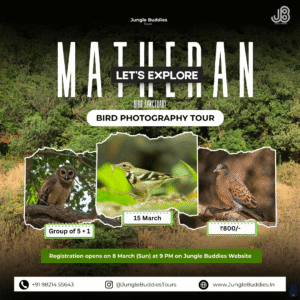 Bird Watching Near Mumbai March 2026 ay Matheran