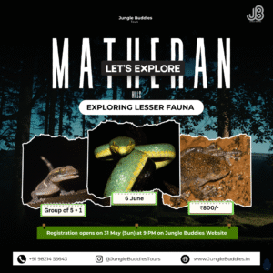 Matheran Hills: Exploring Lesser Fauna