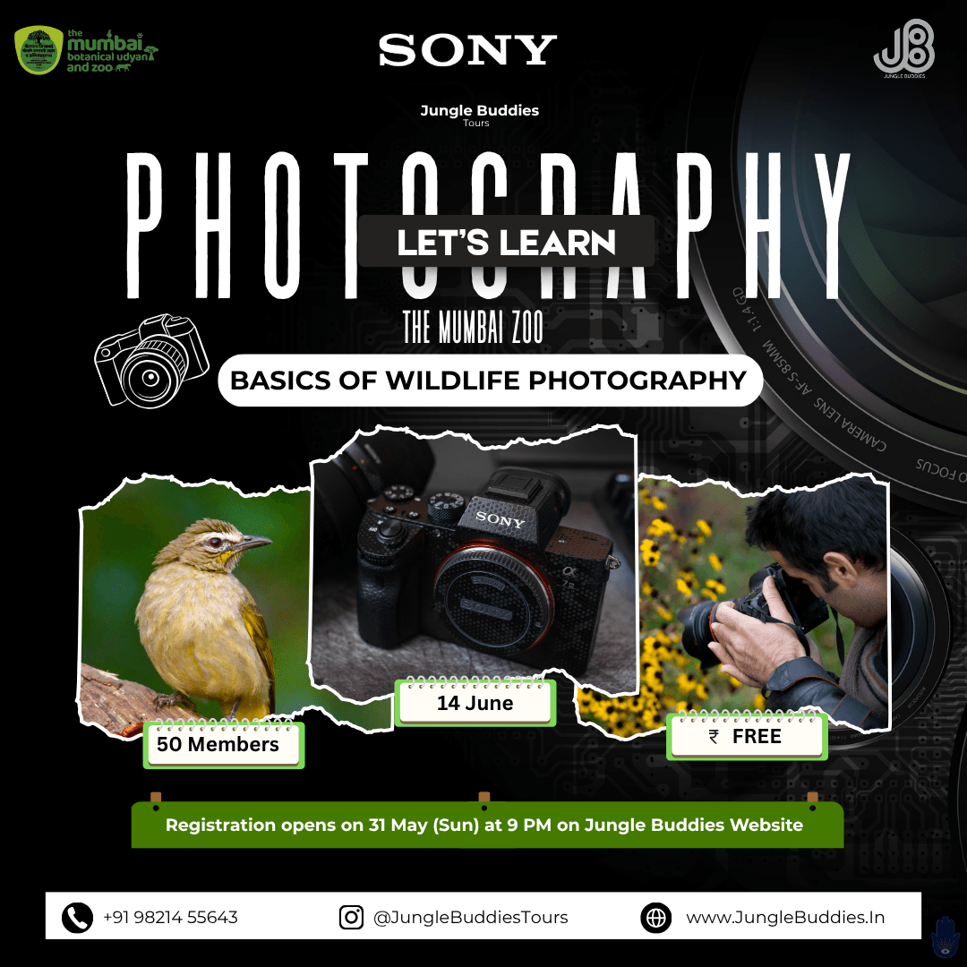 Basics of Wildlife Photography (Mumbai Zoo x Sony x Jungle Buddies)