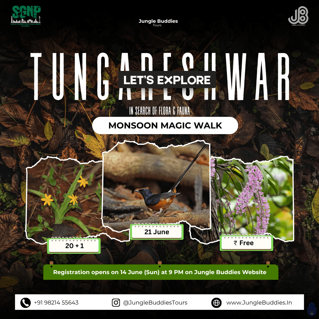 Tungareshwar Wildlife Sanctuary