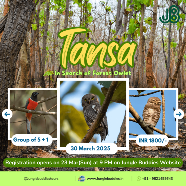 Tansa by Jungle Buddies Tours