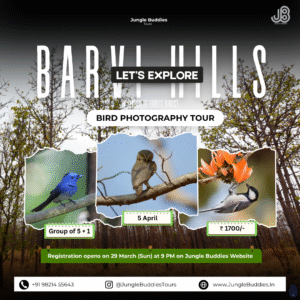 Barvi Dam Bird Watching