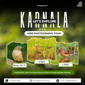 Hide Photography near Mumbai 2026