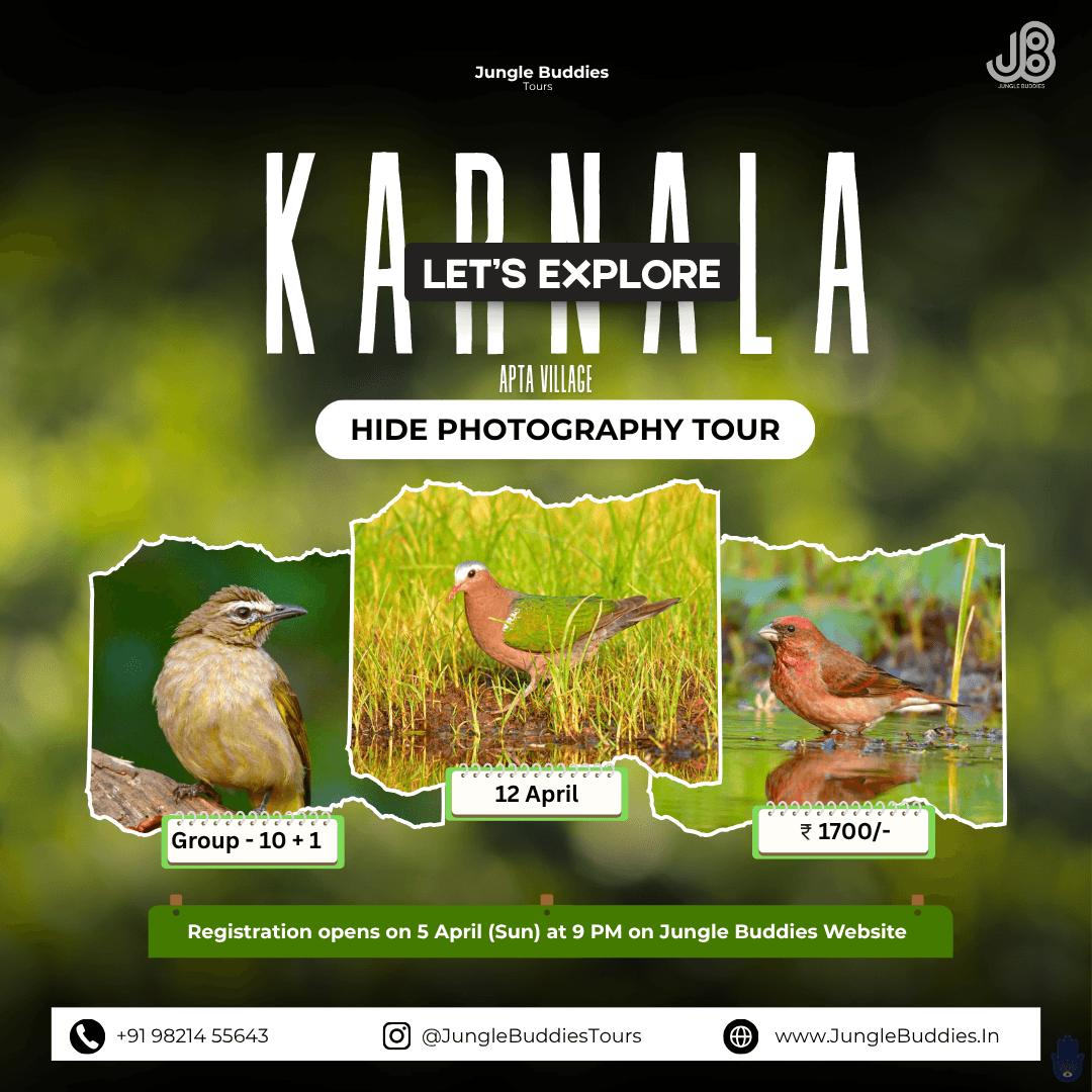 Hide Photography near Mumbai 2026