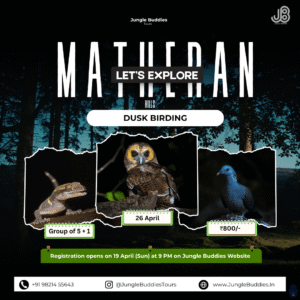 Matheran Hill a Dusk