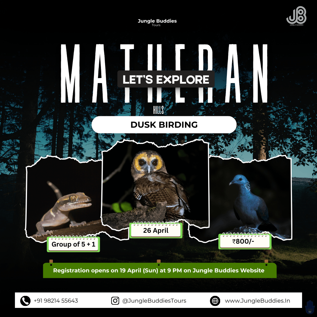 Matheran Hill a Dusk