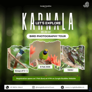 Bird Watching near Mumbai Feb 2026 - Karnala Bird Sanctuary
