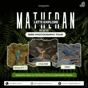 Bird Watching near Mumbai Feb 2026 - Matheran Hills