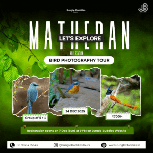 Matheran Hill Station Birding