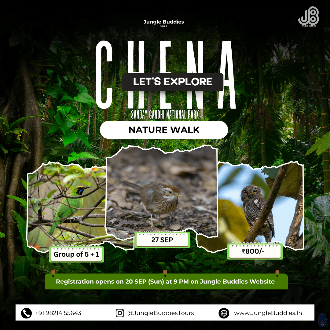 Chena Nature Trails by Jungle Budies Tours l September 2026