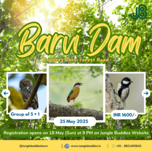 Forest Escapades with Jungle Buddies May 2025 -Barvi