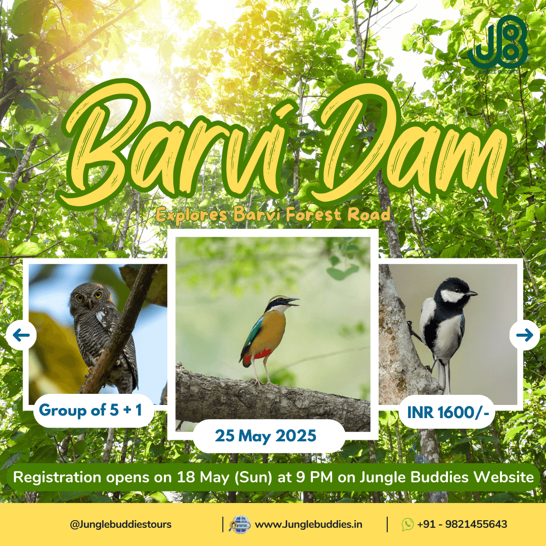 Forest Escapades with Jungle Buddies May 2025 -Barvi