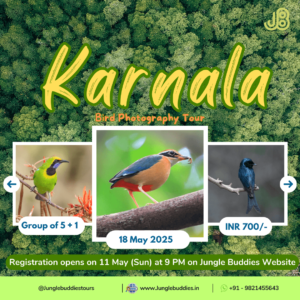 Forest Escapades with Jungle Buddies May 2025 - Karnala
