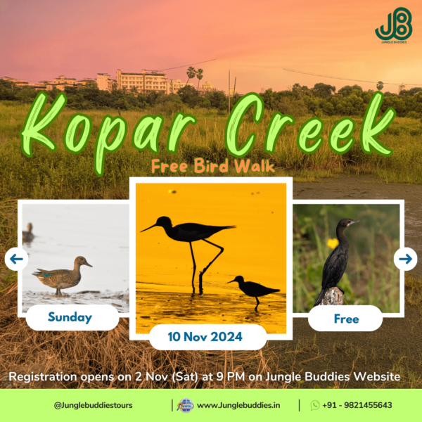 Free Bird walk at Kopar Creek Jungle Buddies Tours