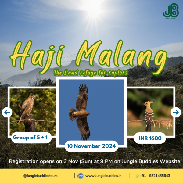 Haji Malang Hills - Jungle Buddies Tours