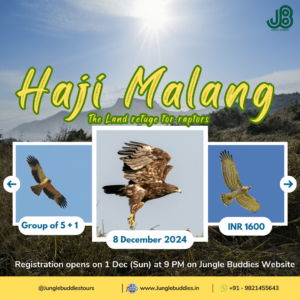 Haji Malang Hills l Jungle Buddies Group Tour December 2024