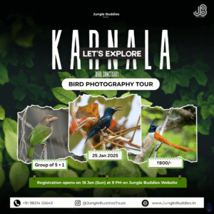 Bird Watching Near Mumbai - Karnala Bird Sanctuary