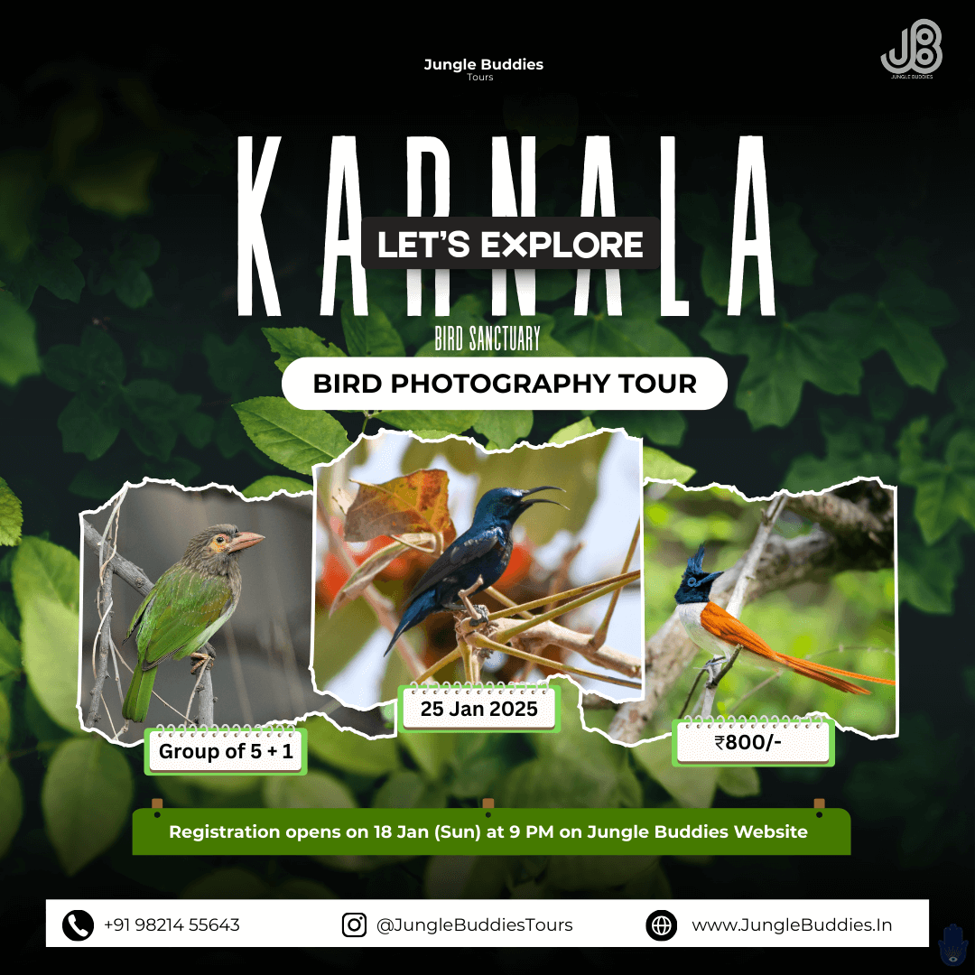 Bird Watching Near Mumbai - Karnala Bird Sanctuary