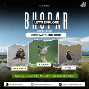 Bird Watching Near Mumbai at Bhopar