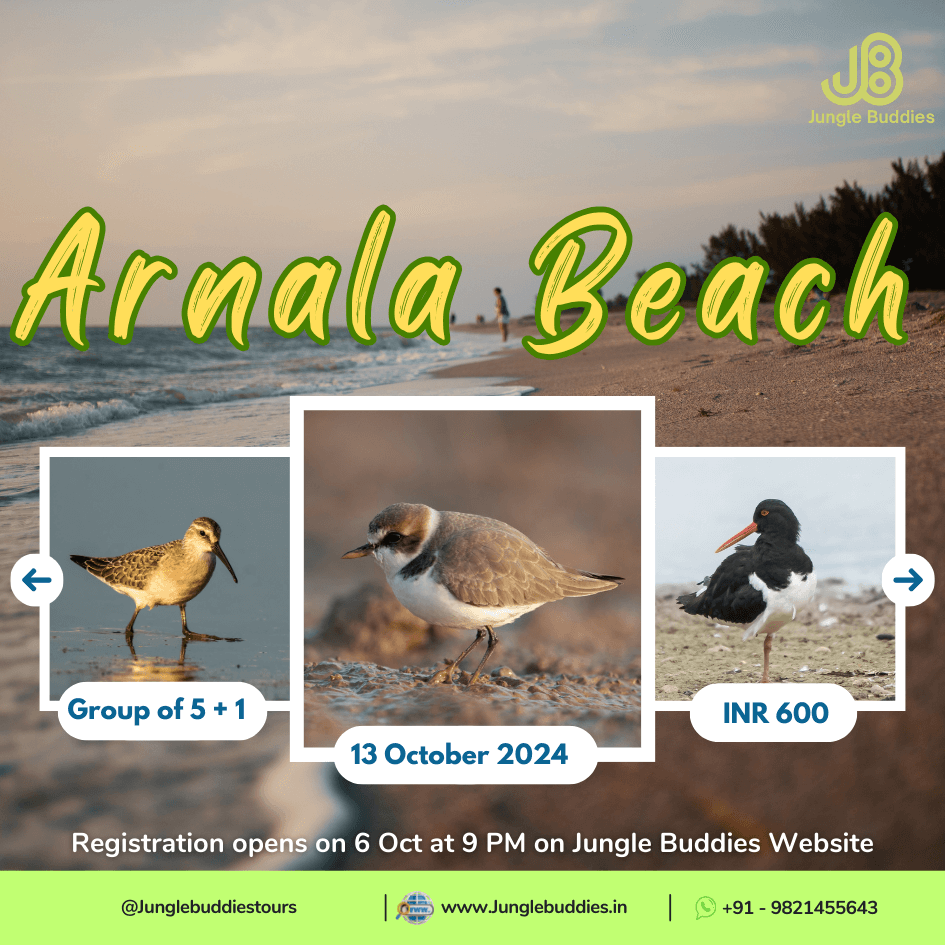 Jungle buddies Tour to Arnala Beach Virar