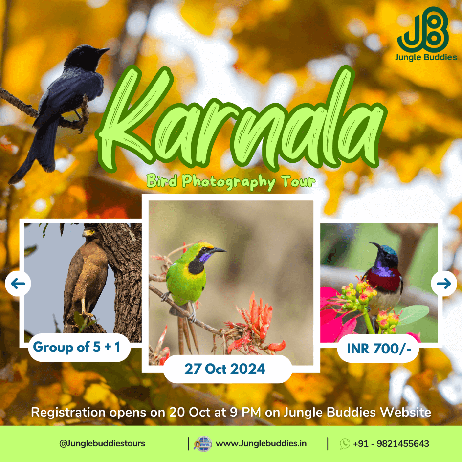 Jungle buddies Tour to Karnala Bird Sanctuary