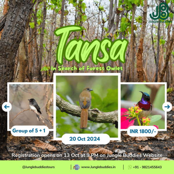 Jungle buddies Tour to Tansa