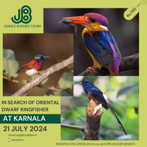 Karnala bird sanctuary
