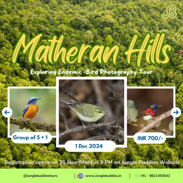 Matheran Hills l Jungle Buddies Group Tour December 2024