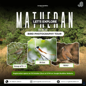 Mumbai Bird Watching Tour in October 2026 by Jungle Buddies Tours - Matheran Hills