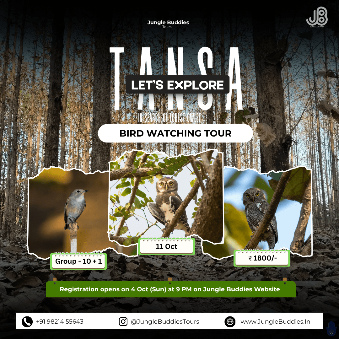 Mumbai Bird Watching Tour in October 2026 by Jungle Buddies Tours - Tansa Wildlife Sanctuary