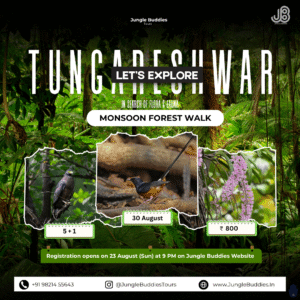 Bird watching in Mumbai in August 2026at Tungareshwar wildlife sanctuary