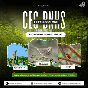 Bird watching in Mumbai in August 2026 at CEC BNHS, Goregaon Film City.