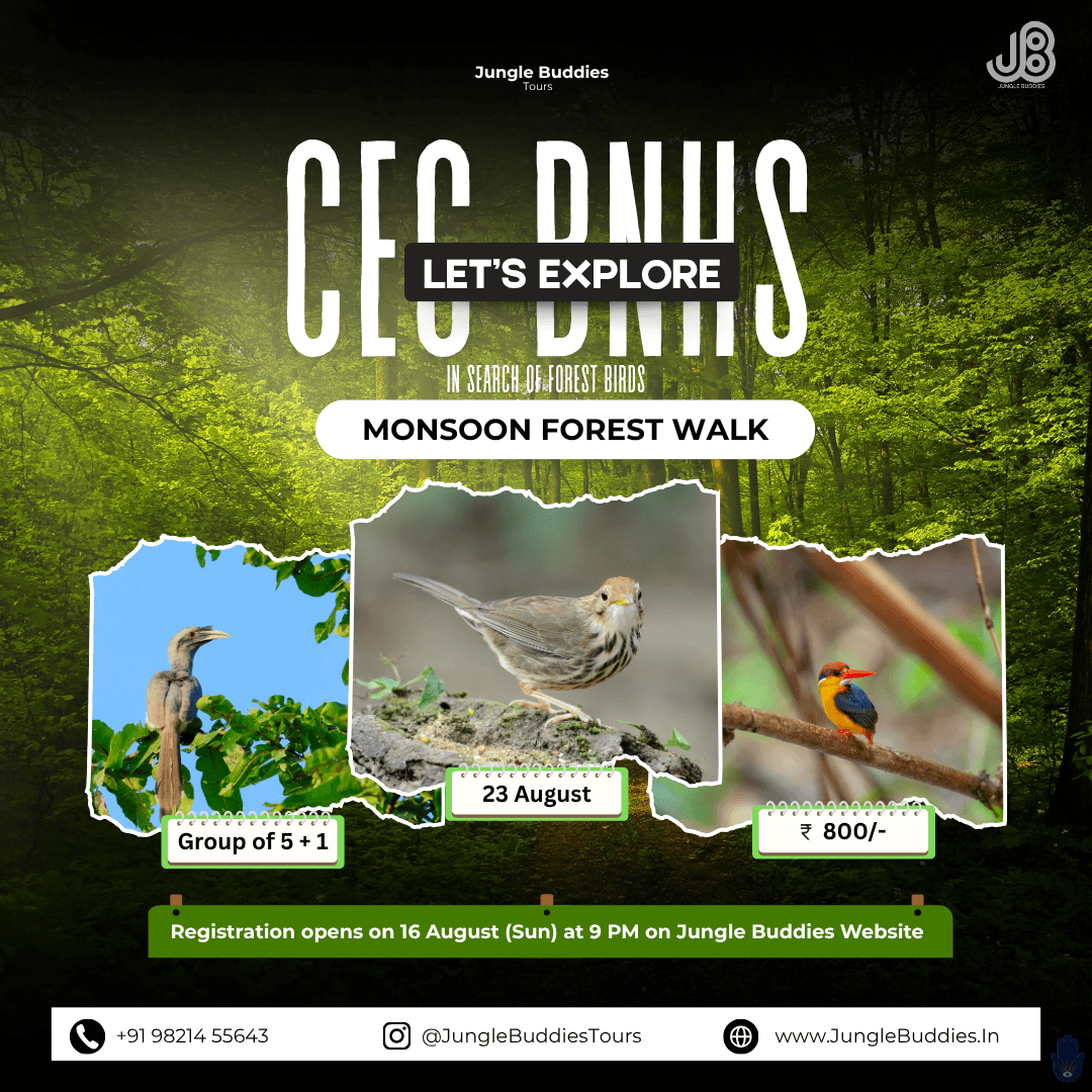 Bird watching in Mumbai in August 2026 at CEC BNHS, Goregaon Film City.