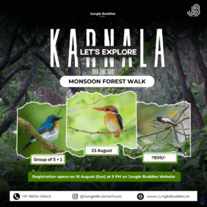 Bird watching in Mumbai in August 2026 at Karnala Bird sanctuary