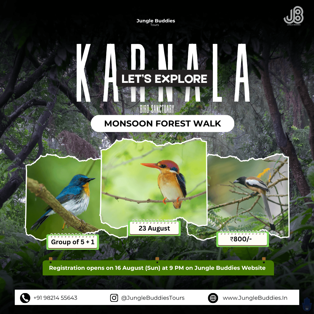Bird watching in Mumbai in August 2026 at Karnala Bird sanctuary