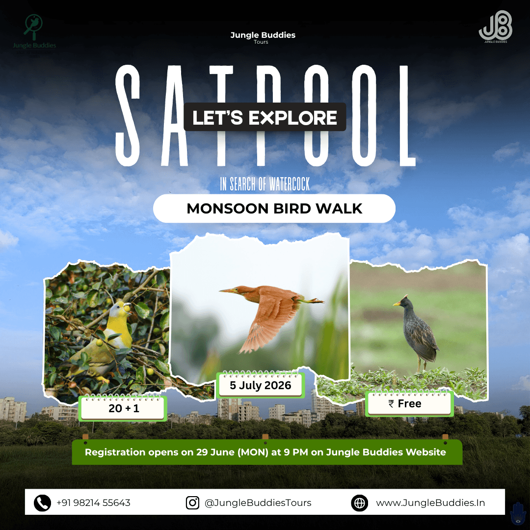 Saat Pool Bird watching Dombivli
