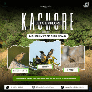 Mumbai Bird Watching tour by Jungle Buddies November 2026 - Kachore Hills Thakurli
