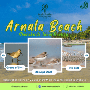 Nature Walks by Jungle Buddies for September 2025 (